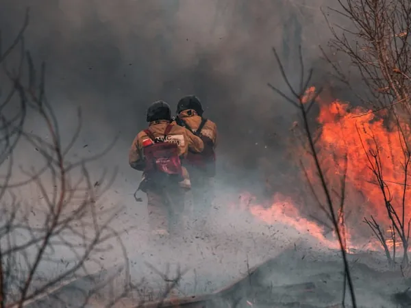 Brigadistas forestales avanzando entre humo junto a la línea de fuego