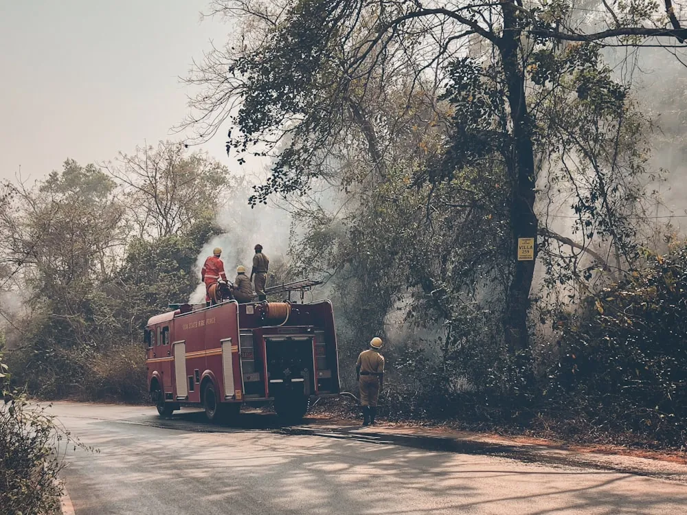 Unidad y brigadistas forestales trabajando entre humo en un camino de bosque