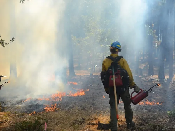 Brigadista aplicando quema de ensanche junto a la línea de fuego