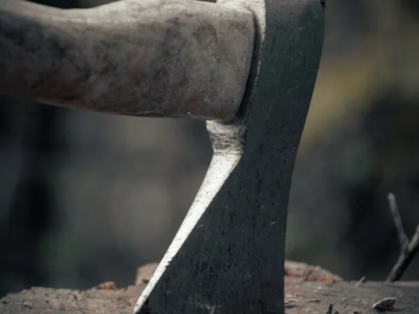 Detalle de la cabeza de un hacha forestal y su filo