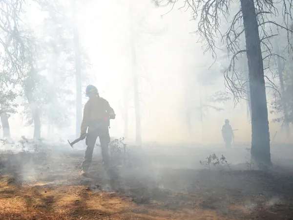Brigadistas forestales avanzando entre humo denso de incendio